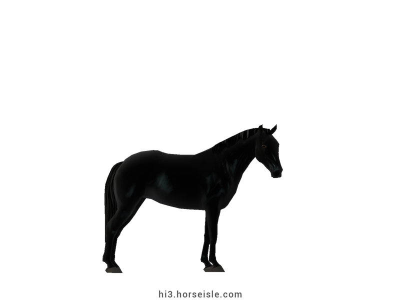 Piquira Pony Sooty Coal Black Coat